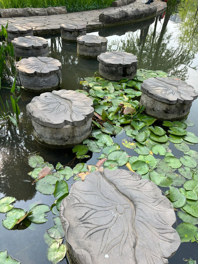 璧山秀湖公園｜常來常新的一個自然系公園