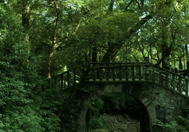相較於靈隱,我更愛寧波這個精緻人少千年古寺 相較於靈隱,我更愛寧波這個精緻人少千年古寺
