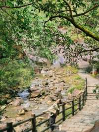 廣州——白江湖森林公園