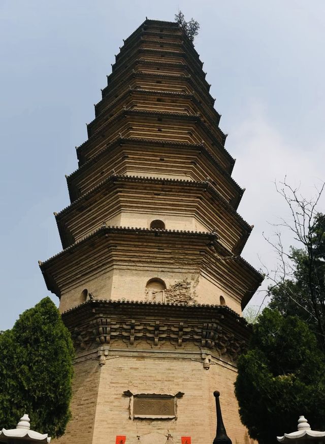 萬古寺旅遊攻略來啦跟家人一起去打卡