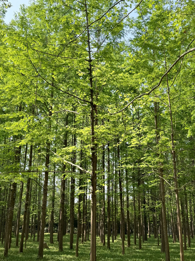 河南省黃河迎賓館