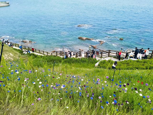 青島秘境：面朝大海，春暖花開
