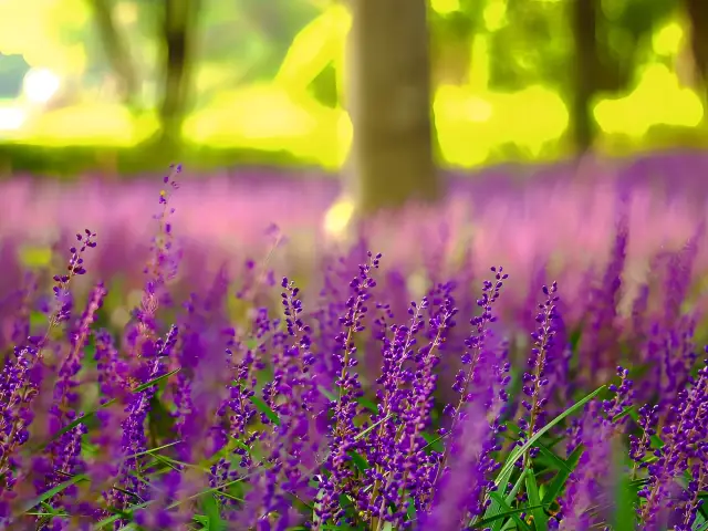 Xuzhou, a summer retreat treasure, keeps you cool all summer long!