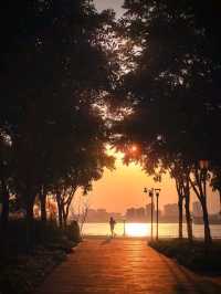 Qiantan Leisure Rose Park in Shanghai 🇨🇳🌹♥️