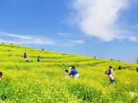 我終於來了任意門的另一邊——芸上梯田