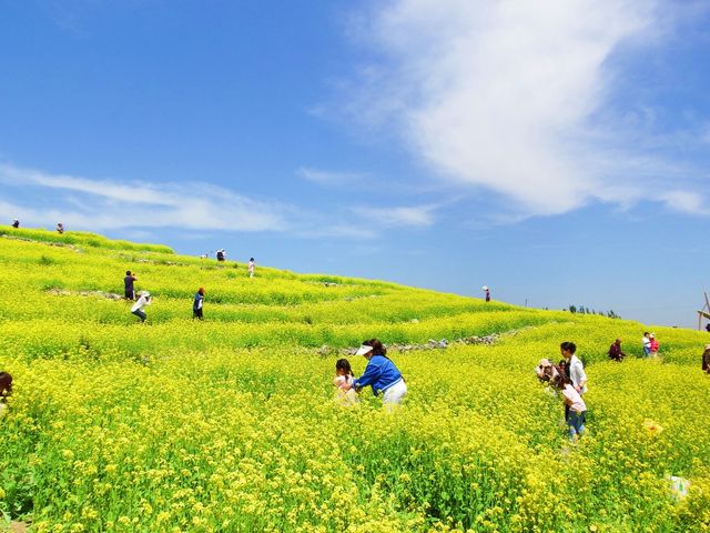 我終於來了任意門的另一邊——芸上梯田