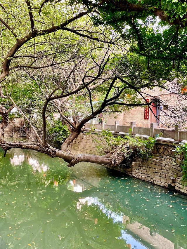 春光明媚，在福州的「小江南」漫步