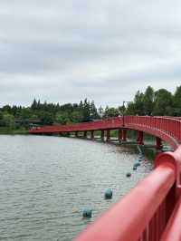 遊走上海：春日漫遊迪士尼星願公園