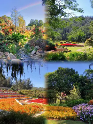 90%廈門人都沒去過的愛麗絲仙境。