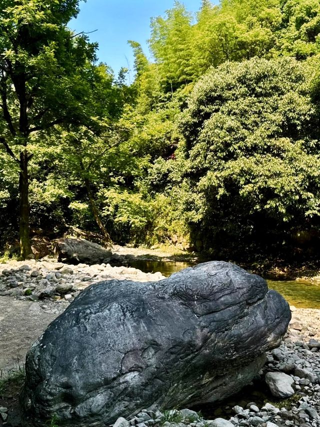 浙東小九寨，天然氧吧，夏天逃離城市徒步玩水好去處！