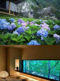 四川廣安|找到夏日山野療癒度假的樣子