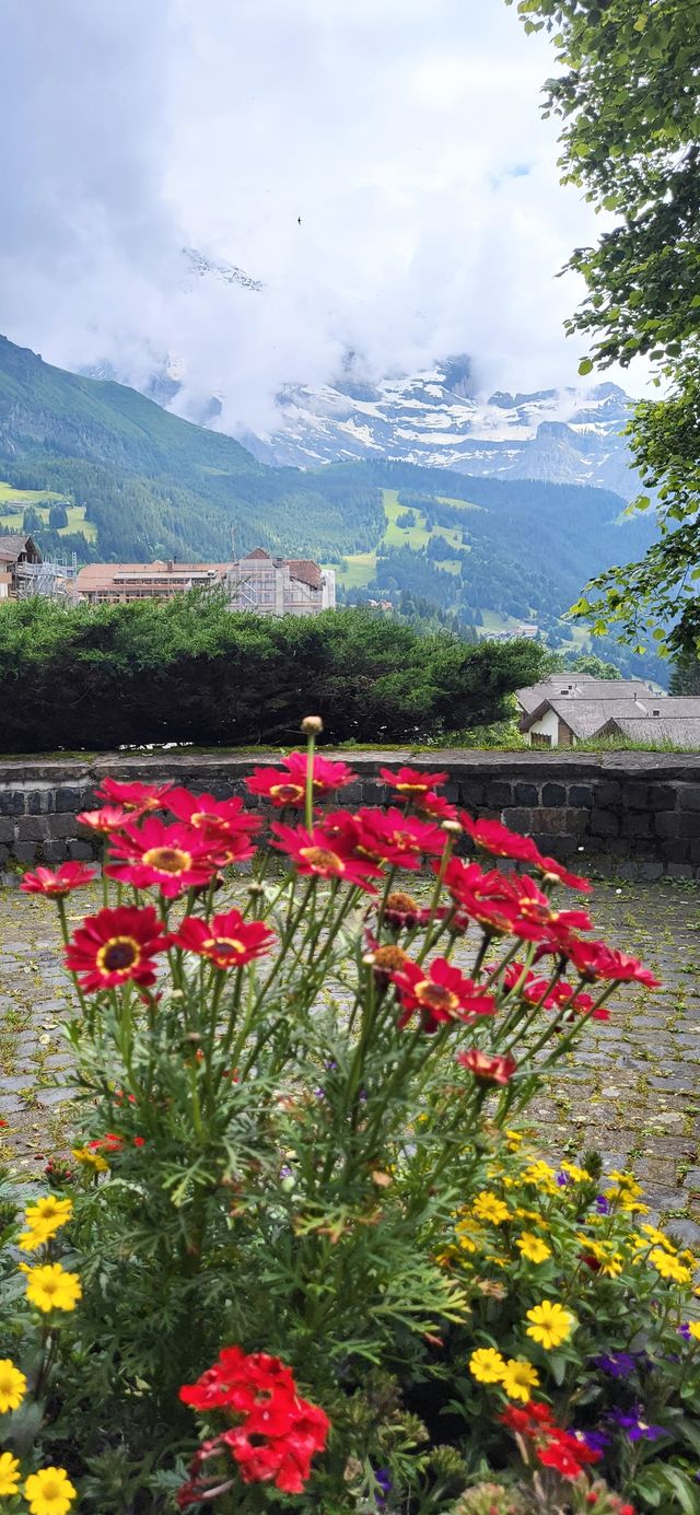 高山上的小鎮--文根Wengen
