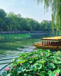 這個夏天怎麼能不去趟北海公園呢!