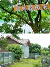 發朋友圈被問瘋的避暑聖地廬山逍遙島