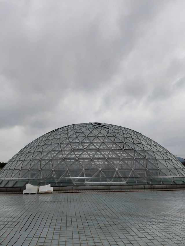 放鬆仙境——大陽山國家森林公園