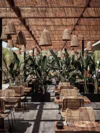 🌟 Ibiza's Hidden Gem: Oku Ibiza 🏝️