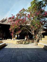 巍山文化新地標｜500年崇正書院中藏著個先鋒書店