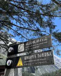 雲杉坪打卡隱藏在玉龍雪山的巨大草坪