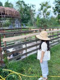 喺三垟濕地「小三亞」住咗一晚，小朋友就唔想返屋企啦。