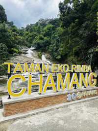 Chamang Waterfall in Bentong 💚 Wonderful Nature 