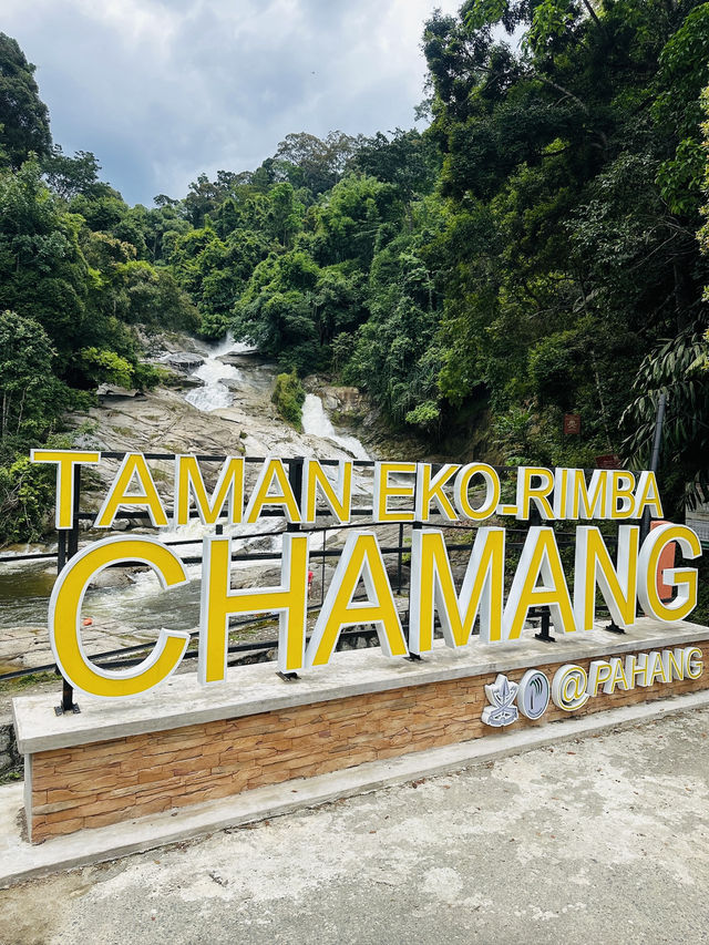 Chamang Waterfall in Bentong 💚 Wonderful Nature 