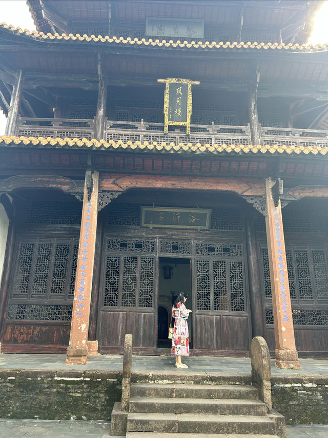 白鷺洲書香濃郁。