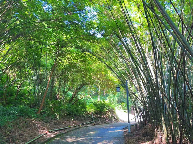 皁幕山徒步，山水相伴，風光無限