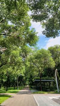 深圳向日葵公園·青綠&清幽。