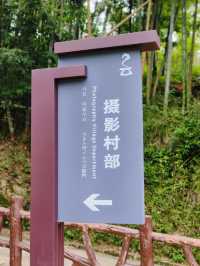 黃冈第一梯田|蕲春霧雲山網紅打卡地。