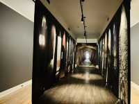 打卡多倫多大學藝術中心。