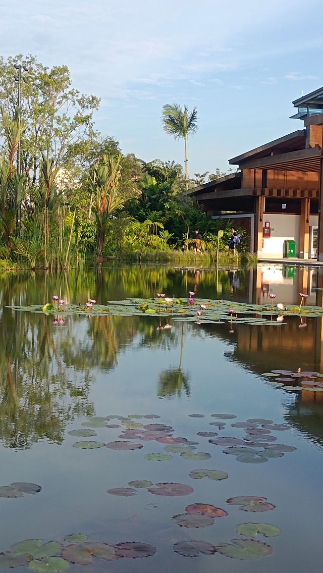 遊新加坡裕華園。