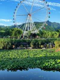 反向旅遊 | 商洛山裡的綠野仙蹤，美哭。