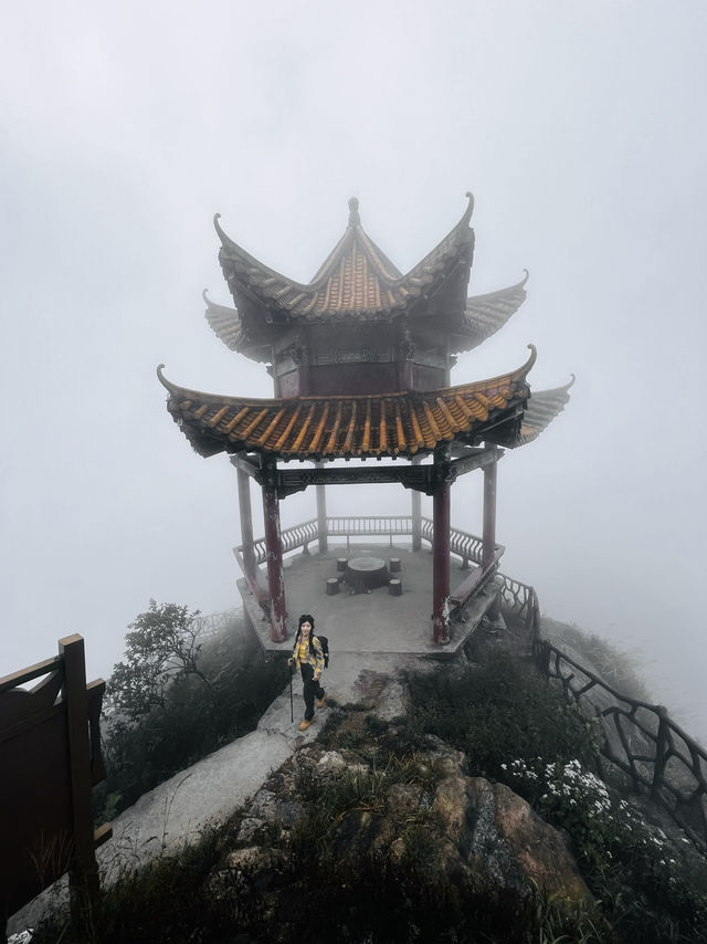 在上班和上進之間！我選擇上山。