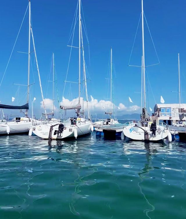 惠州海濱之旅：寧靜與美景的完美邂逅。
