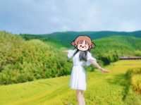 金色十月，稻穀飄香。