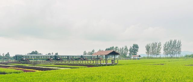 七彩雲南·古滇。