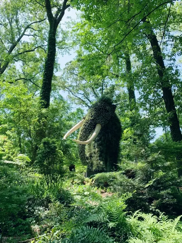 Hidden Gem in the City | Atlanta Botanical Garden.