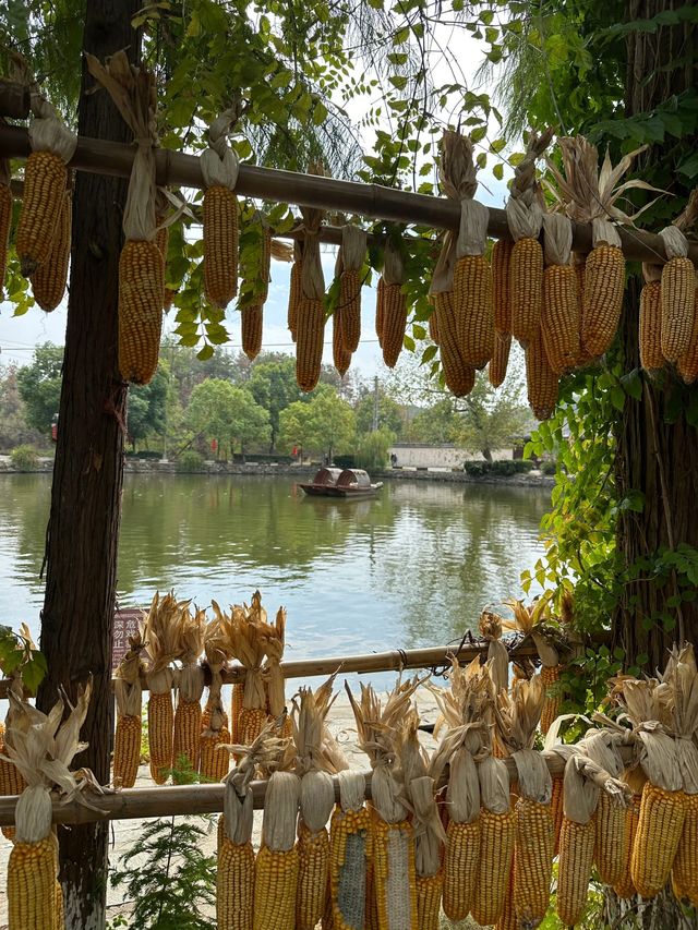 武漢大餘灣｜在這裡體驗與婺源同款晒秋。