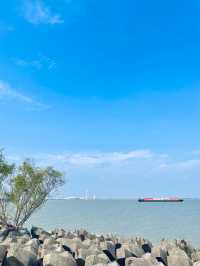 上海濱江森林公園花海谷｜拍照絕美地。