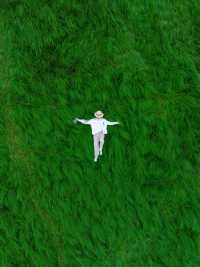 《鄱陽湖畔的奇幻之旅：走進宮崎駿的草海世界》。