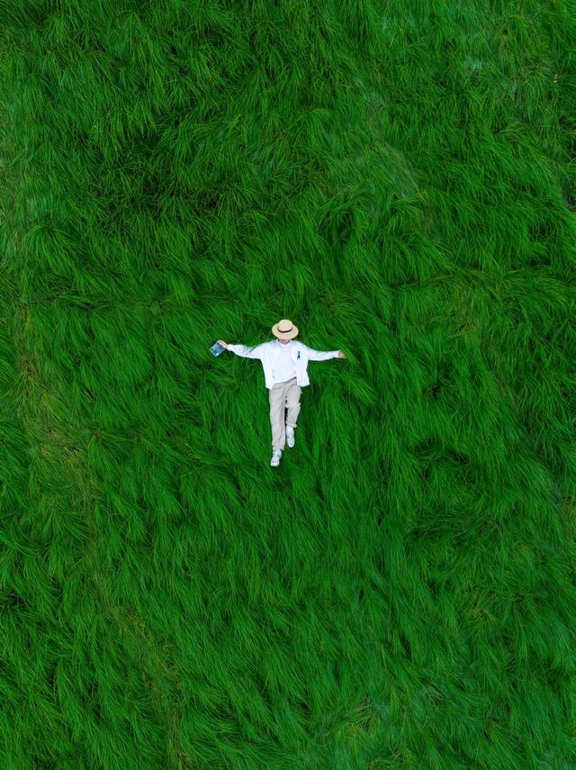 《鄱陽湖畔的奇幻之旅：走進宮崎駿的草海世界》。