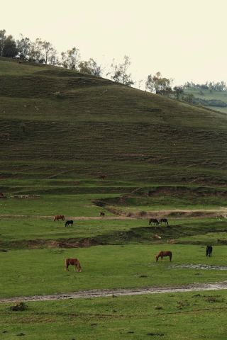 Shaanxi Guanshan Ranch | Endless fun.