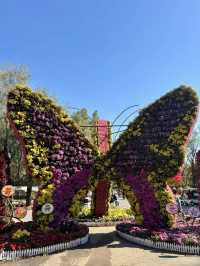 花卉世界，四季繽紛——沈陽世博園的夢幻之旅