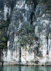 萬泉湖／河南籍免費遊啦！！！。