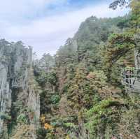 來羊獅慕爬山啦