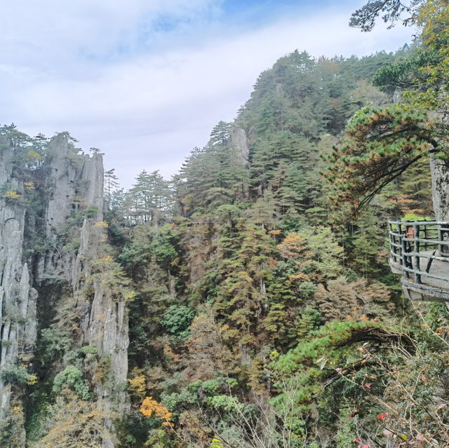 來羊獅慕爬山啦