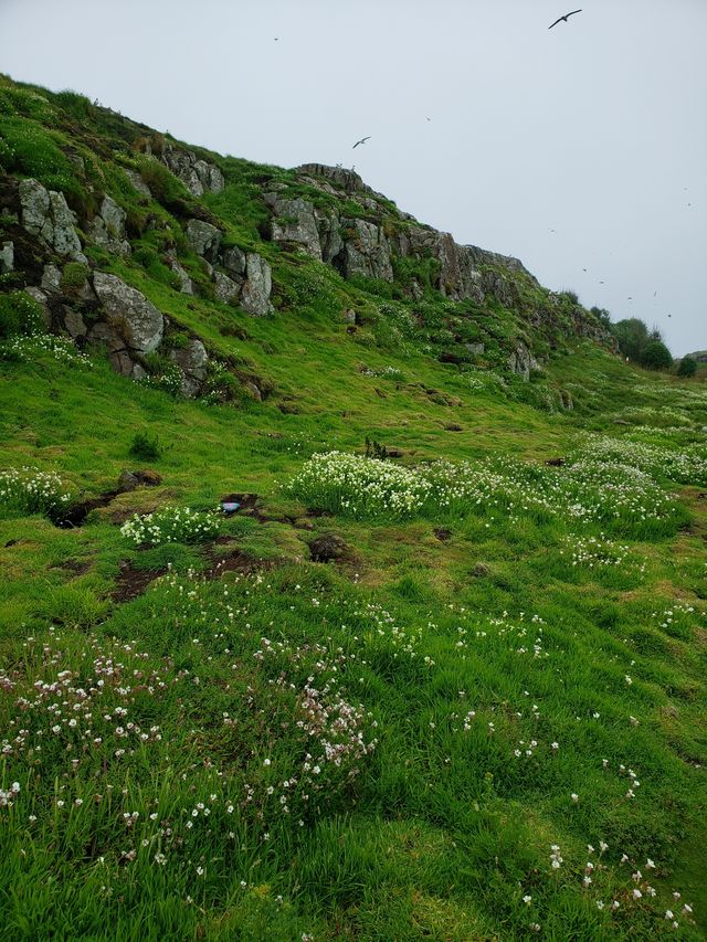 蘇格蘭五月島風景地貌。