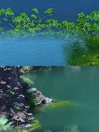 神仙湖生態公園，被我發現了吧真的好好玩。