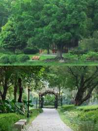 東莞植物園遊玩攻略。