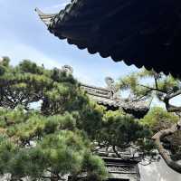Short, but wonderful Shanghai trip!